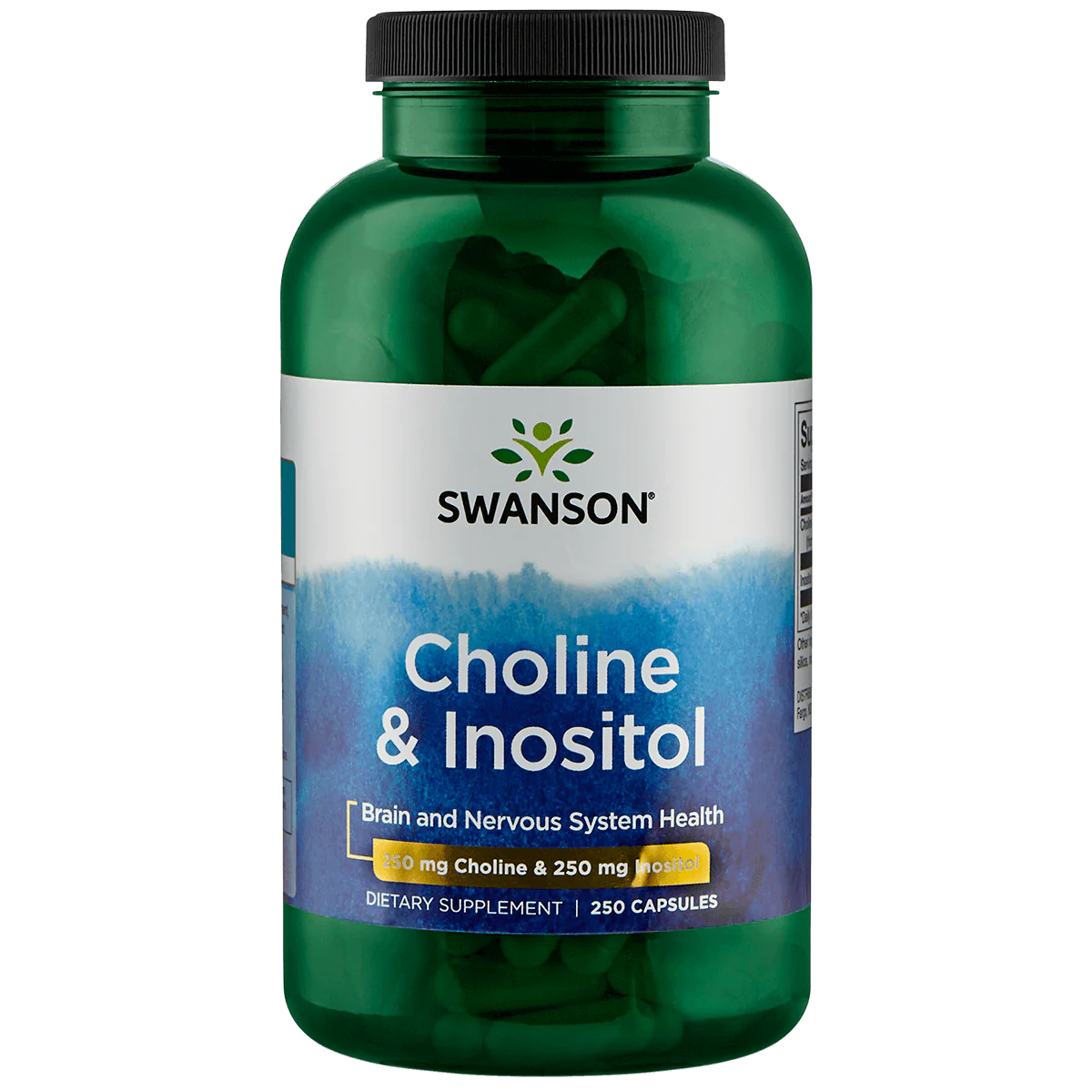 Choline en Inositol 250/250 mg