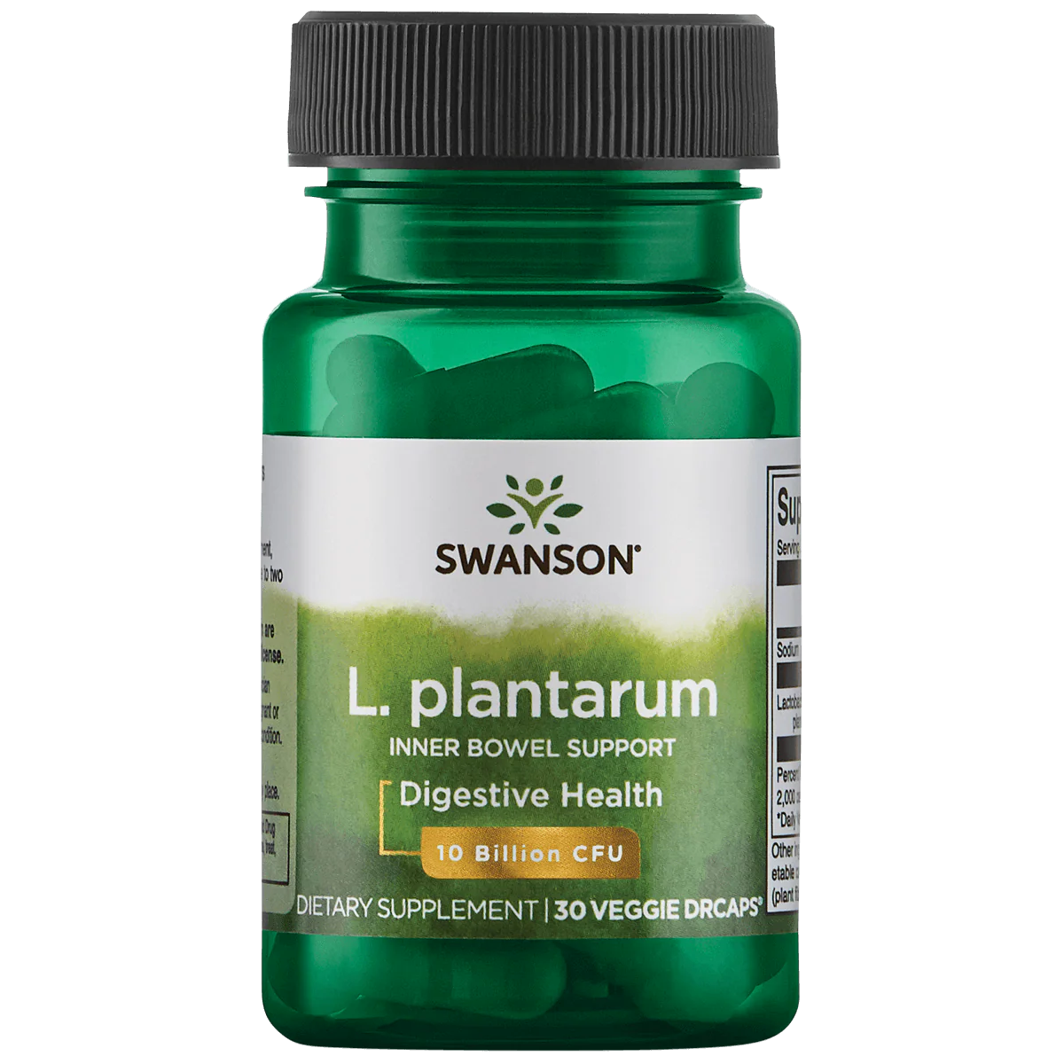 Probiotics L.Plantarum - Image 2